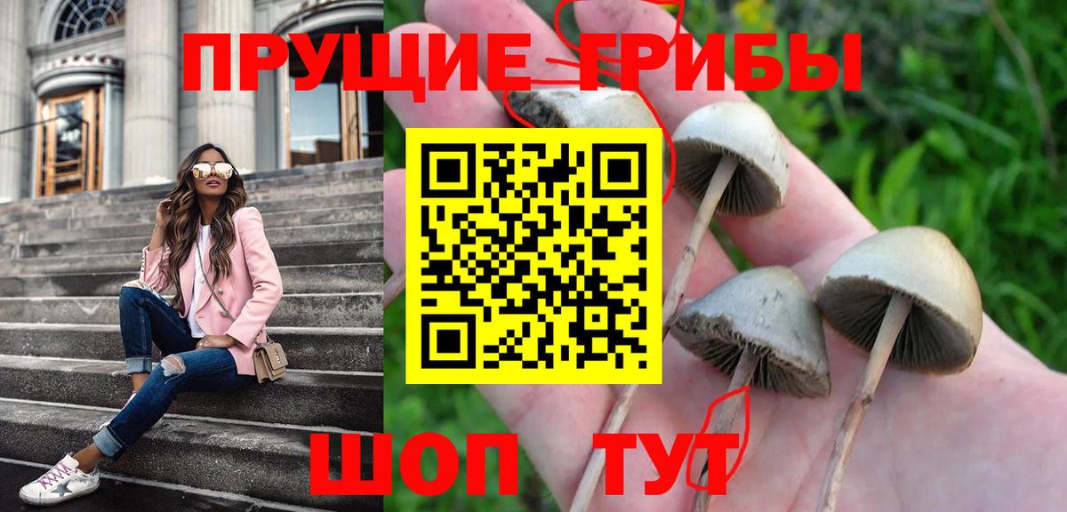 Иваново  сколько стоит  Вход с VPN  Псилоцибиновые грибы Psilocybine cubensis 